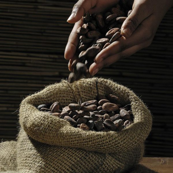 cocoa beans